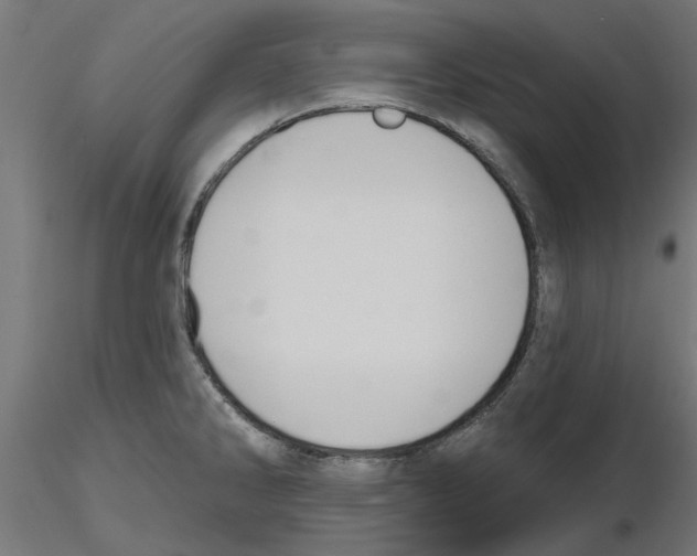 X0000116511286201001061215
