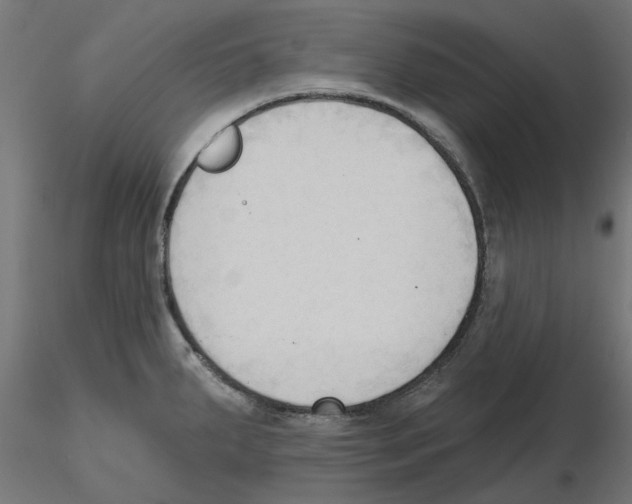 X0000116511287201001061215