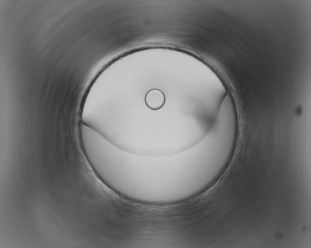 X0000116511288201001061215