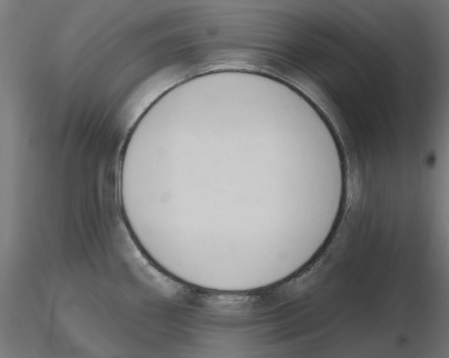 X0000116511290201001061215
