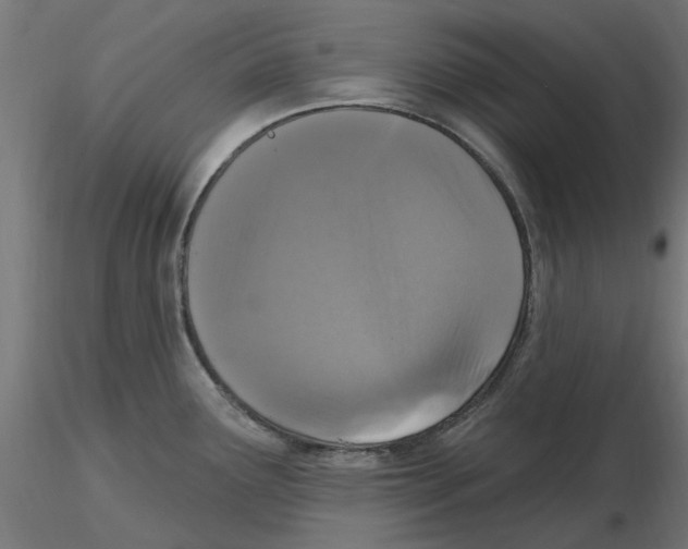 X0000116511291201001061215