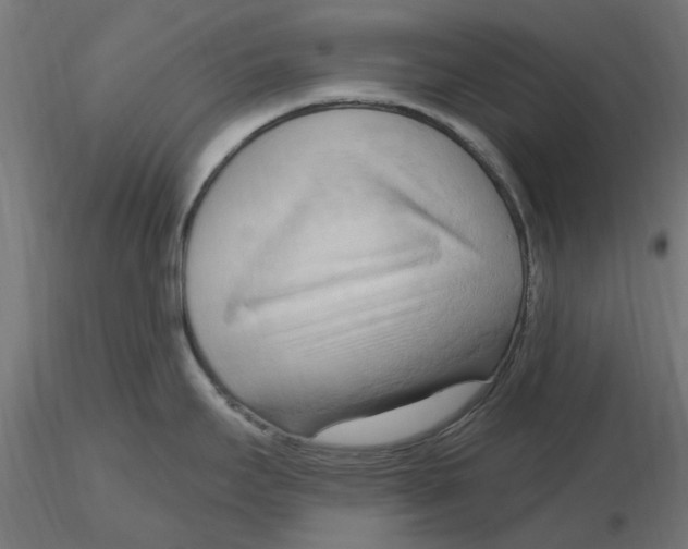 X0000116511295201001061215