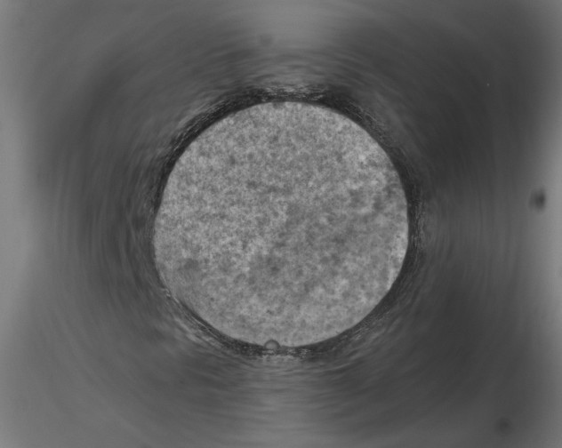 X0000116511297201001061214