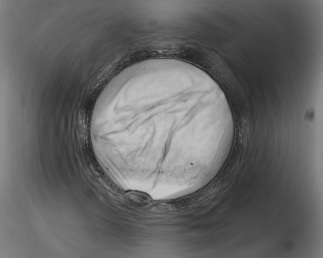 X0000116511298201001061214