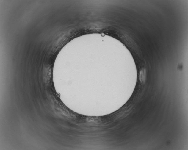 X0000116511299201001061214