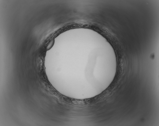 X0000116511302201001061214