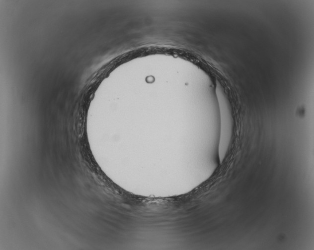 X0000116511303201001061214