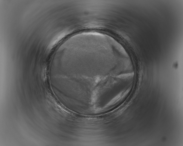 X0000116511306201001061214