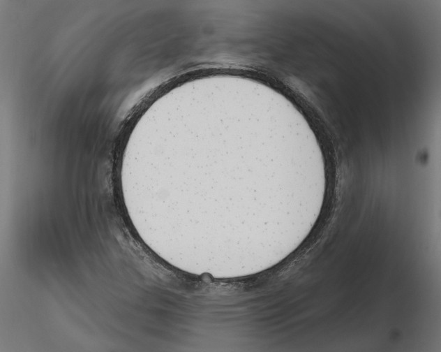 X0000116511307201001061215