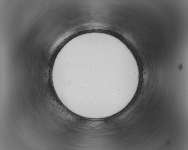 X0000116511309201001061215
