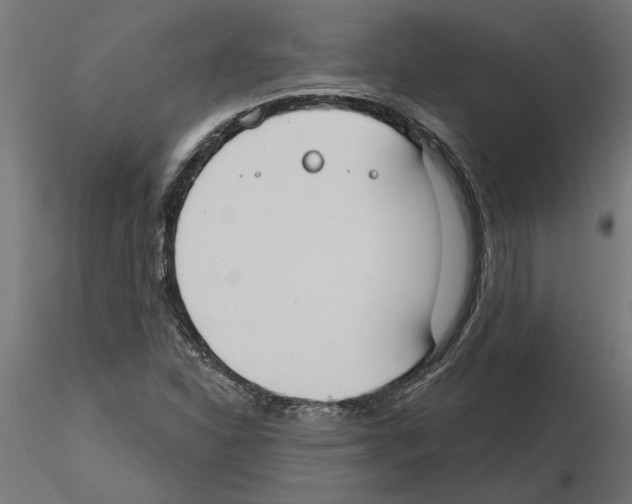 X0000116511310201001061215