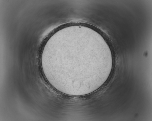 X0000116511311201001061215