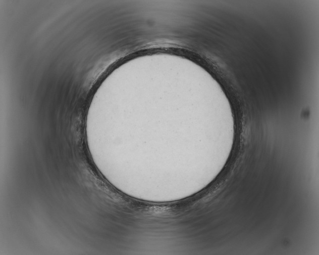 X0000116511313201001061215