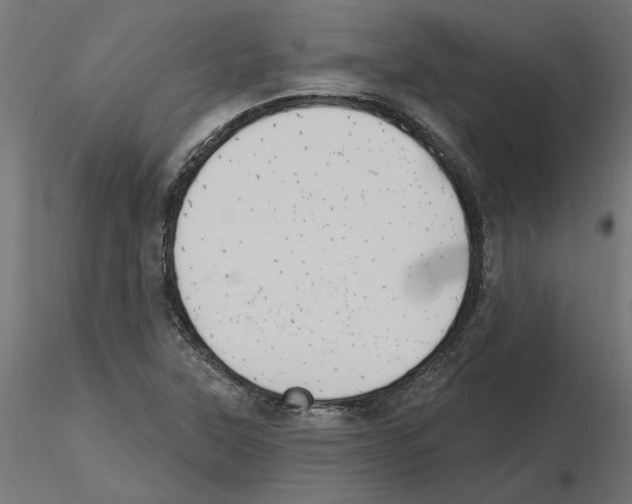 X0000116511315201001061215