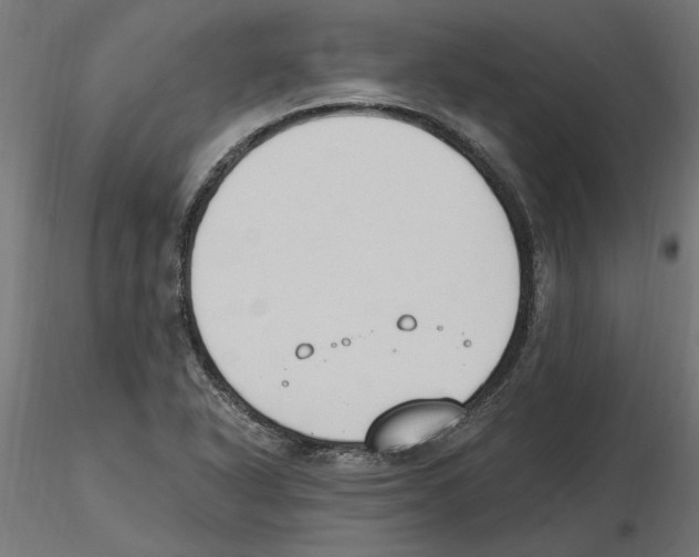 X0000116511318201001061215