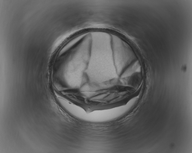X0000116511319201001061215
