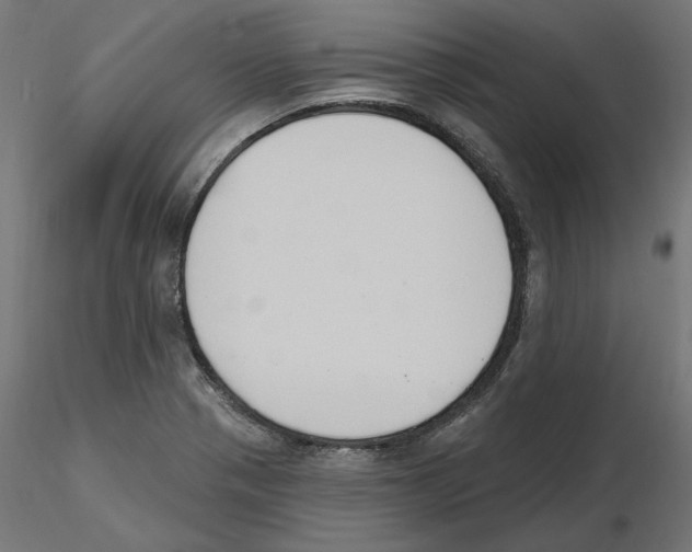 X0000116511321201001061215