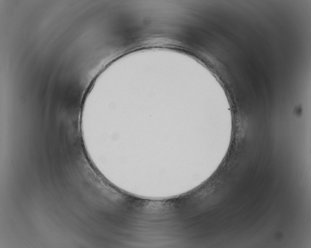 X0000116511322201001061215