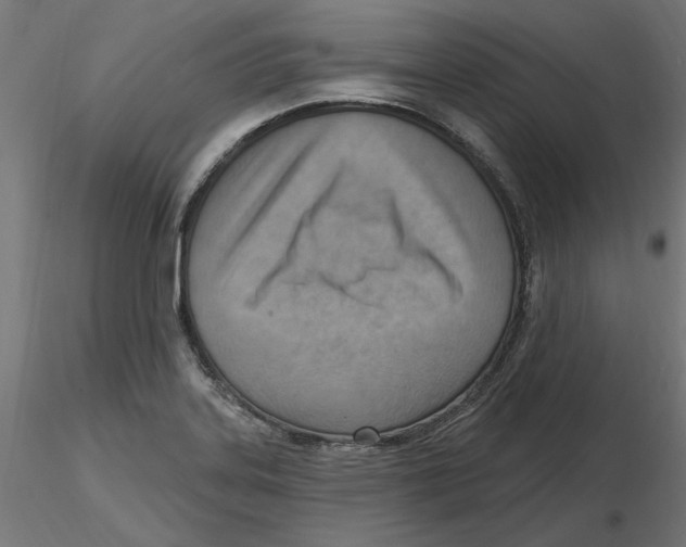 X0000116511323201001061215