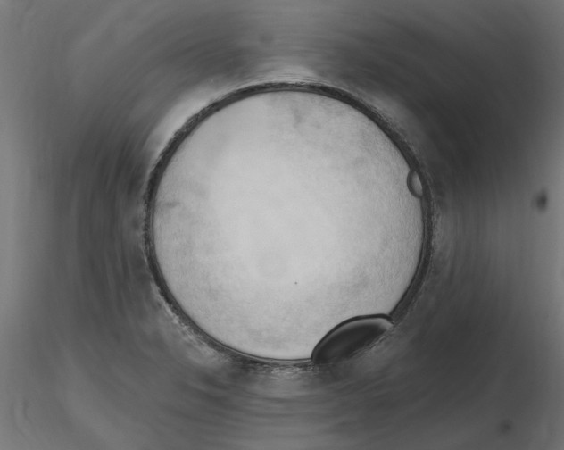 X0000116511326201001061215