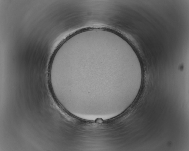 X0000116511327201001061215