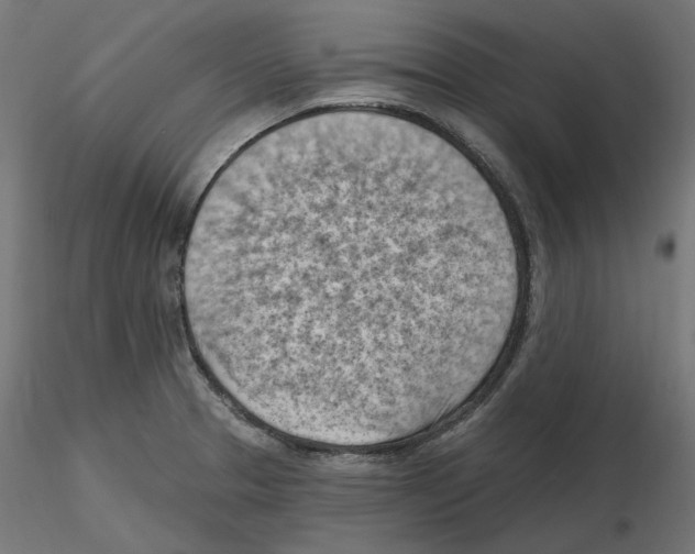 X0000116511329201001061215