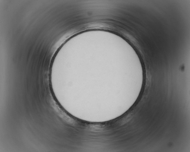 X0000116511330201001061215