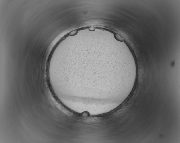 X0000116511331201001061215