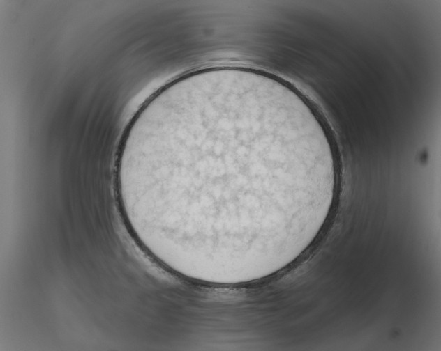 X0000116511333201001061215