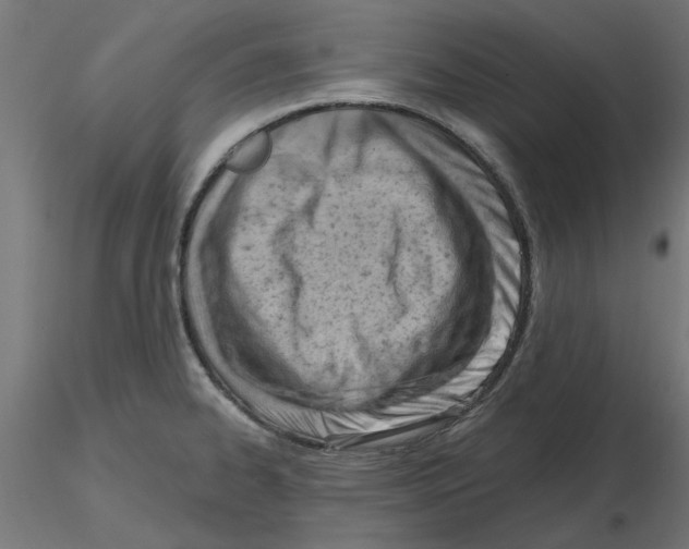 X0000116511334201001061215