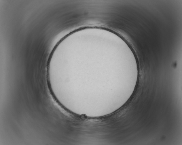 X0000116511335201001061215
