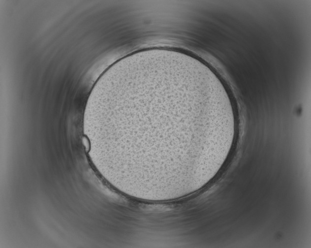 X0000116511337201001061215