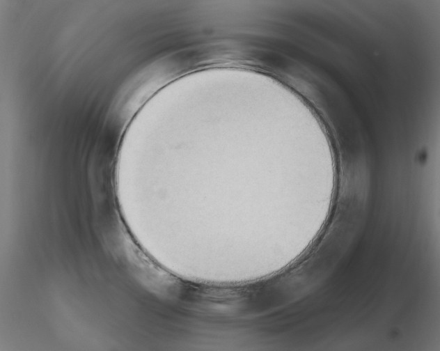 X0000116511338201001061215