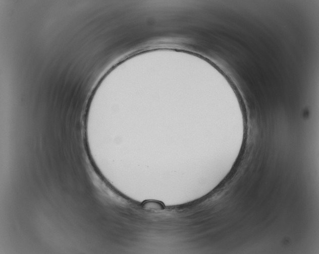 X0000116511341201001061215