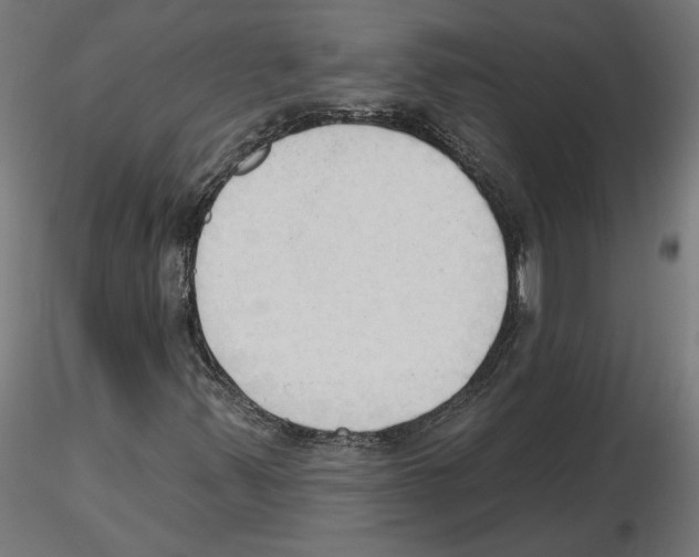 X0000116511347201001061214