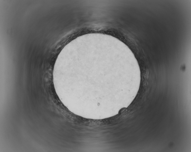 X0000116511349201001061214