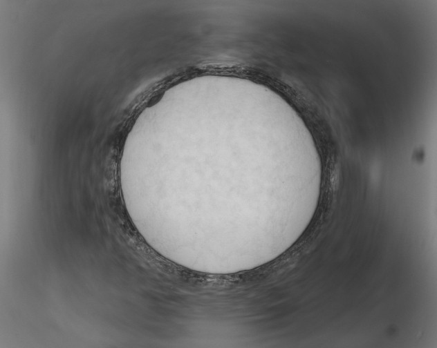 X0000116511350201001061214