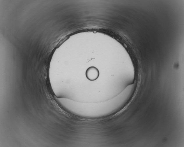 X0000116511353201001061214