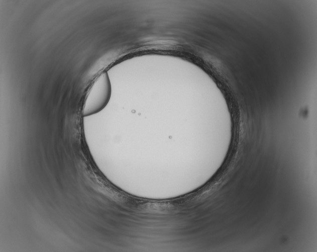 X0000116511354201001061214