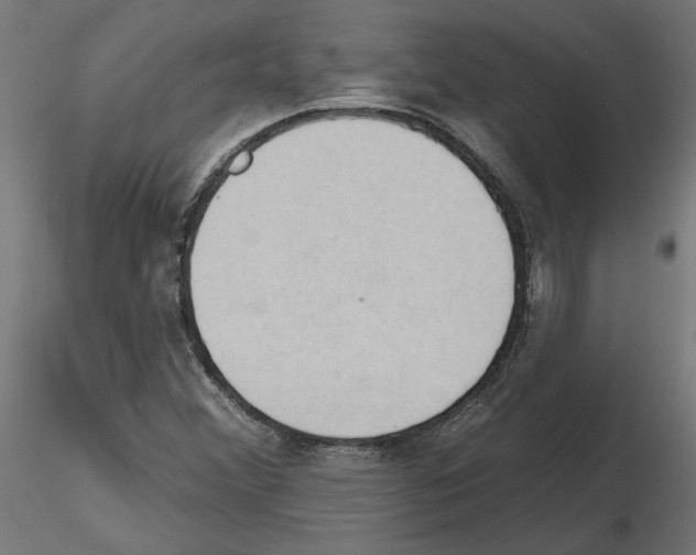 X0000116511356201001061214