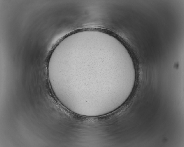 X0000116511358201001061214