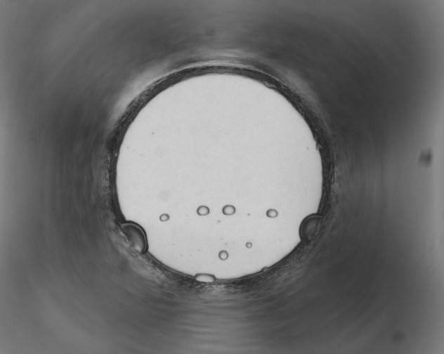 X0000116511360201001061214