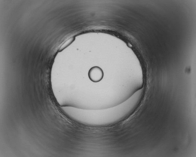 X0000116511361201001061214