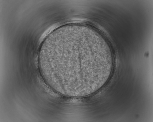 X0000116511362201001061214