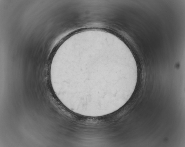X0000116511364201001061214