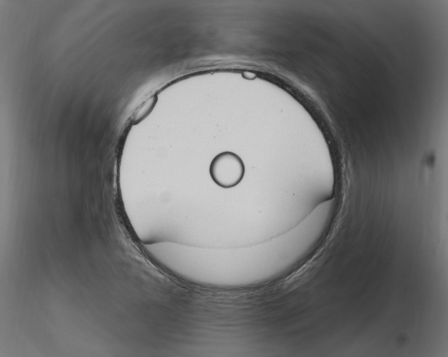 X0000116511365201001061214