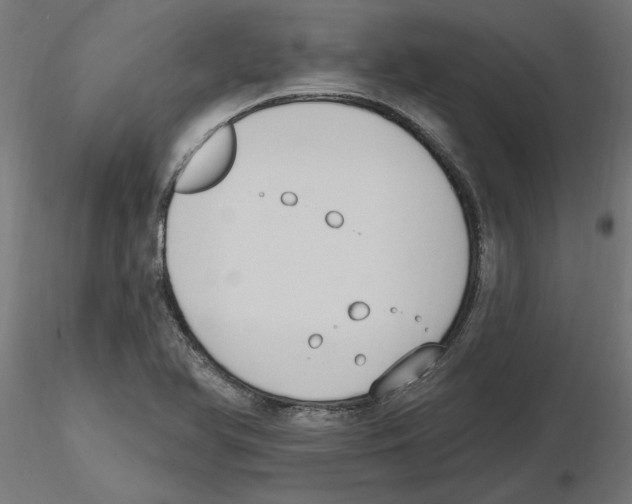 X0000116511366201001061214