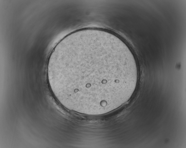 X0000116511367201001061214