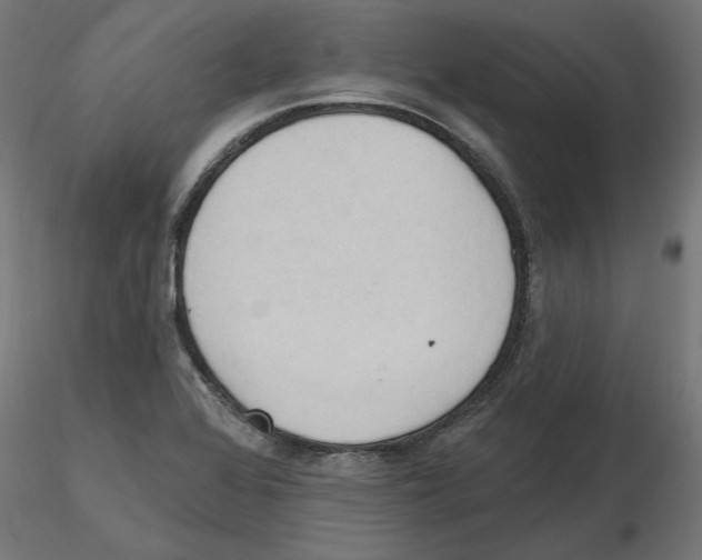 X0000116511368201001061214