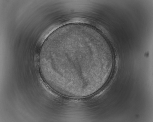 X0000116511369201001061214